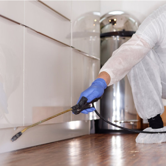 Types Of Pest Control Services